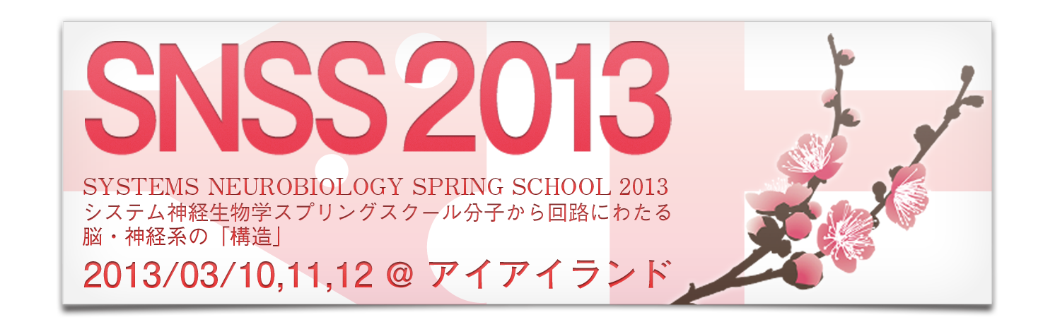 SNSS2013