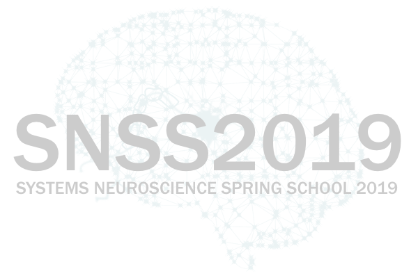 SNSS2013